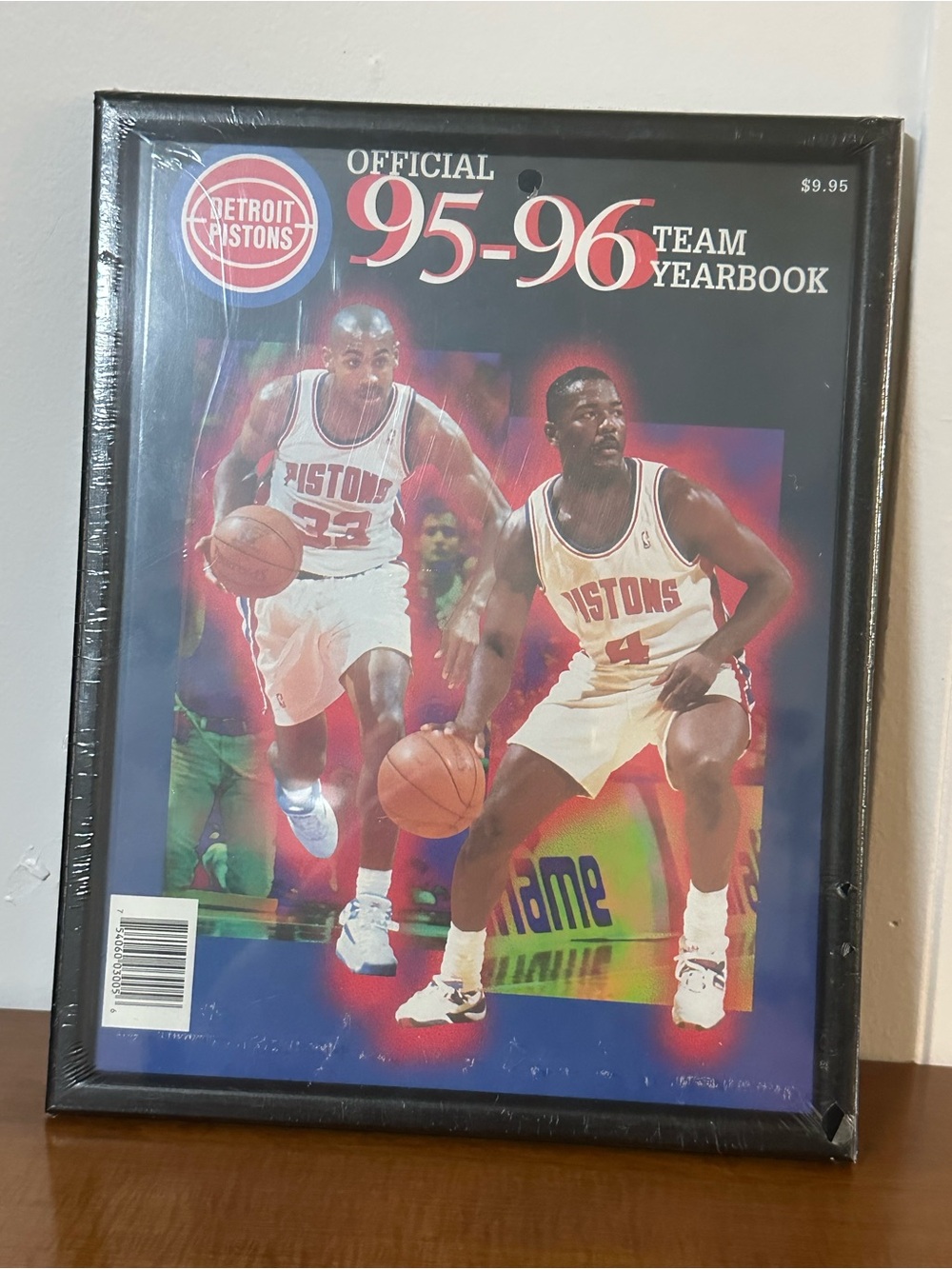 Vintage 1995-96 Detroit Pistons Framed Team Yearbook